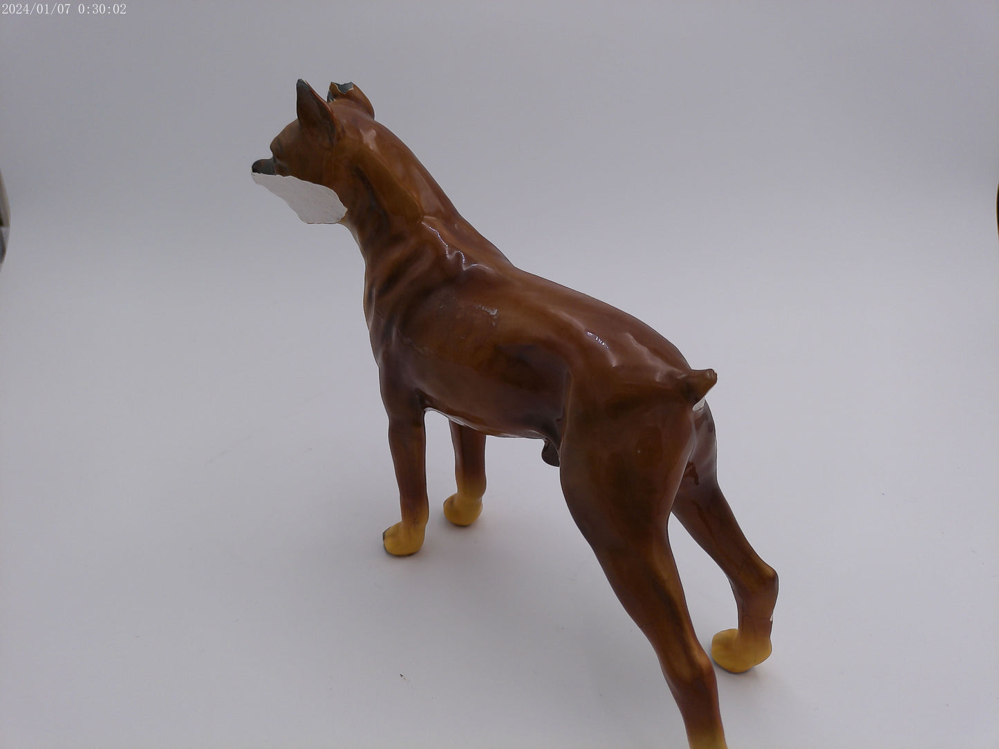 Royal Design 6 Boxer dog Figurines  statues PORCELIAN