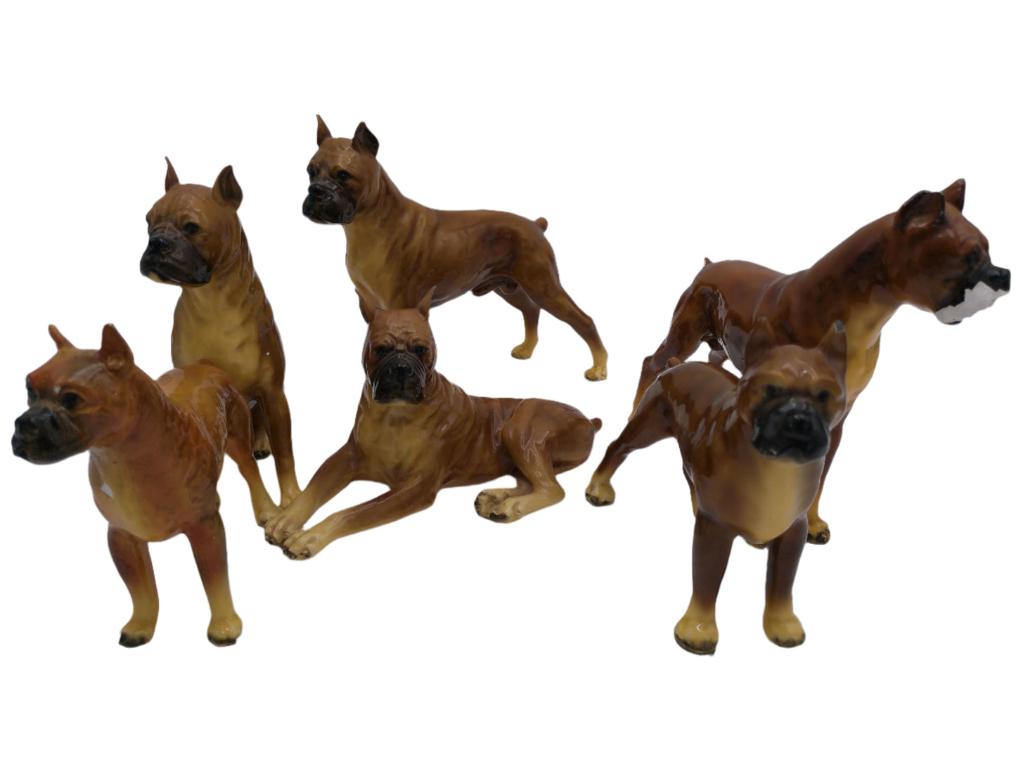 Royal Design 6 Boxer dog Figurines  statues PORCELIAN