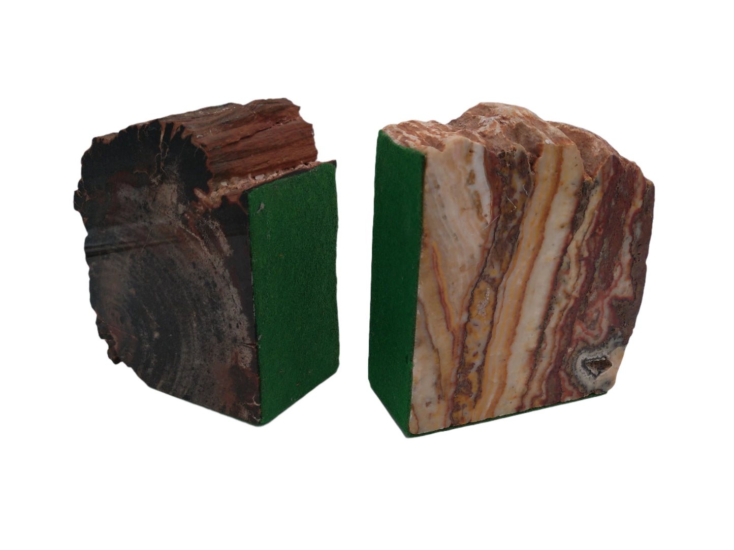 Pair of Petrified Wood Book Ends