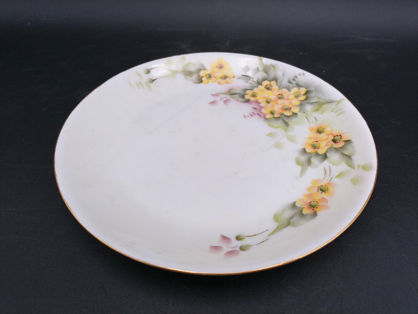 Bavarian Plate Yellow Blue Flowers Hand Painted From Hutschenreuther Selb Germany