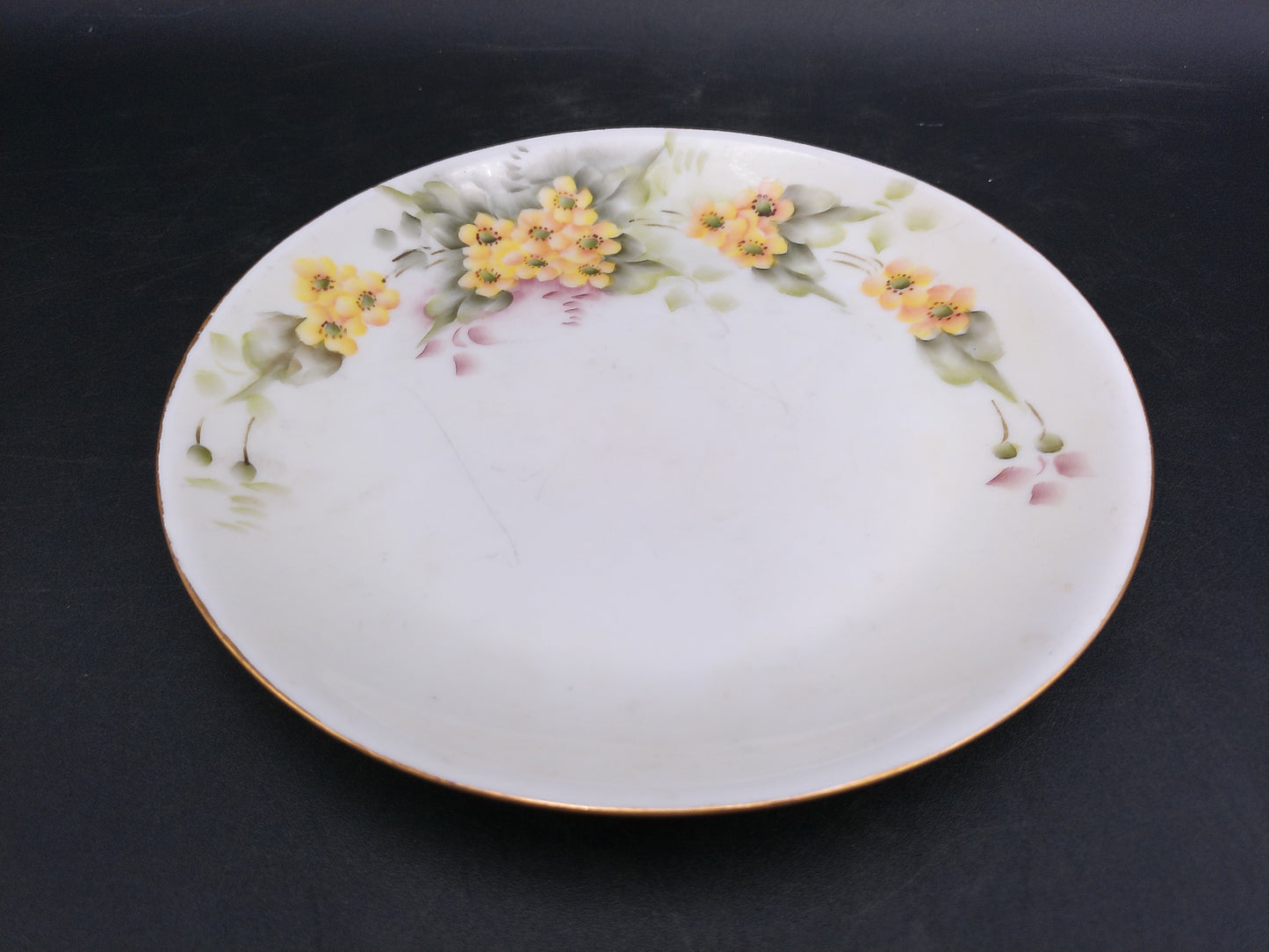 Bavarian Plate Yellow Blue Flowers Hand Painted From Hutschenreuther Selb Germany