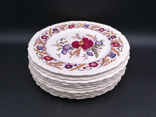 Cornflower Wedgwood Decorative Plates Set of 10 Floral Design Vintage Colorful