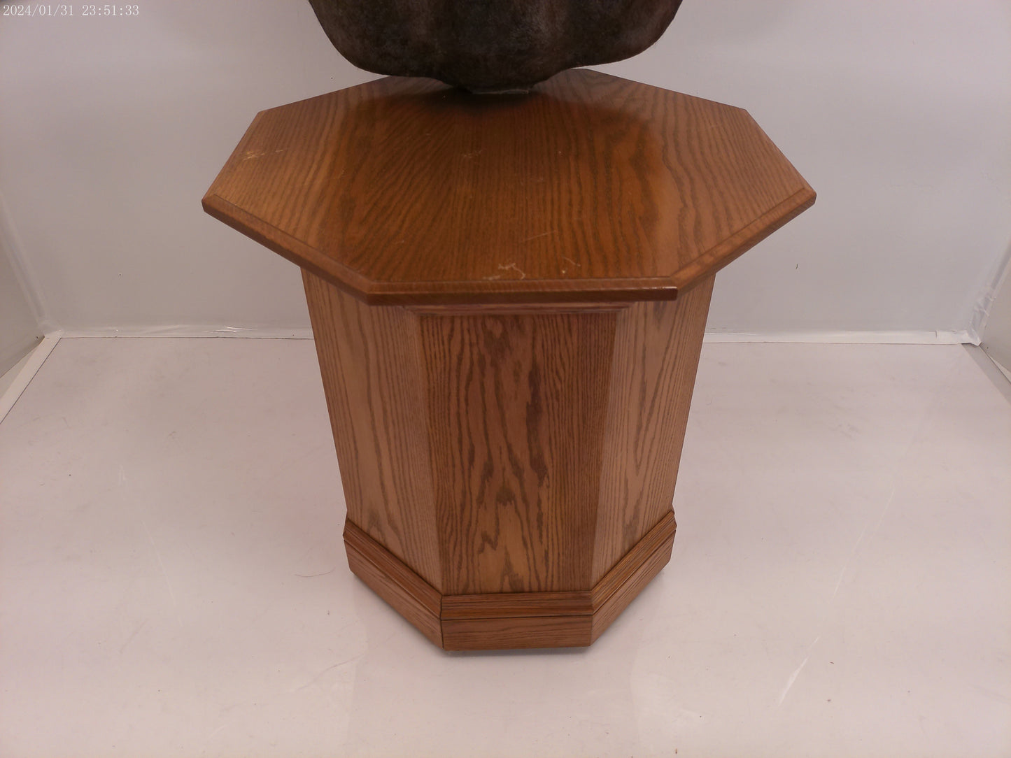 African Water Buffalo With Oak Cabin on Wheels Taxidermy