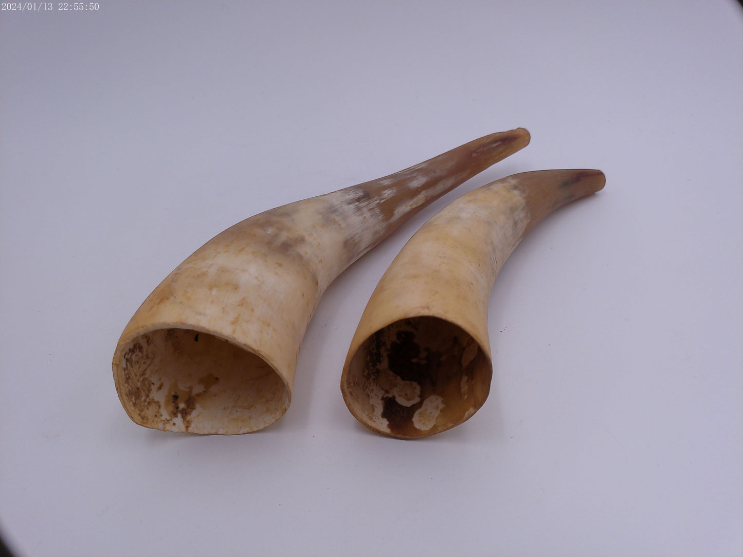 Pair Of Horns