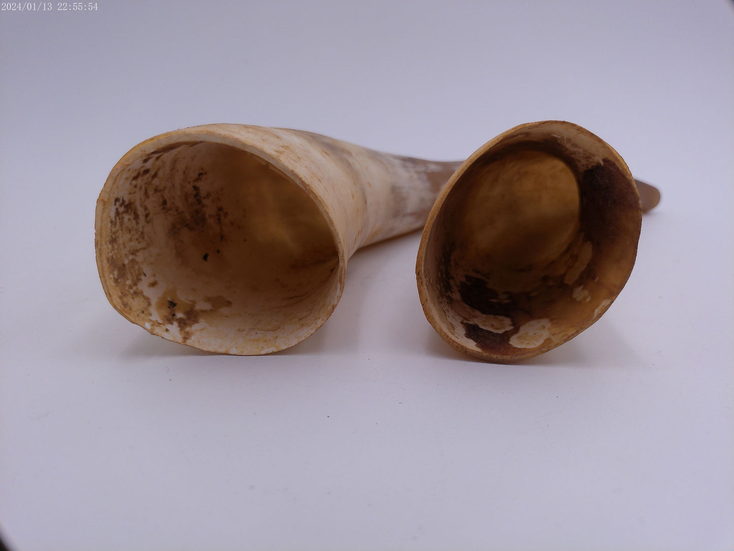 Pair Of Horns