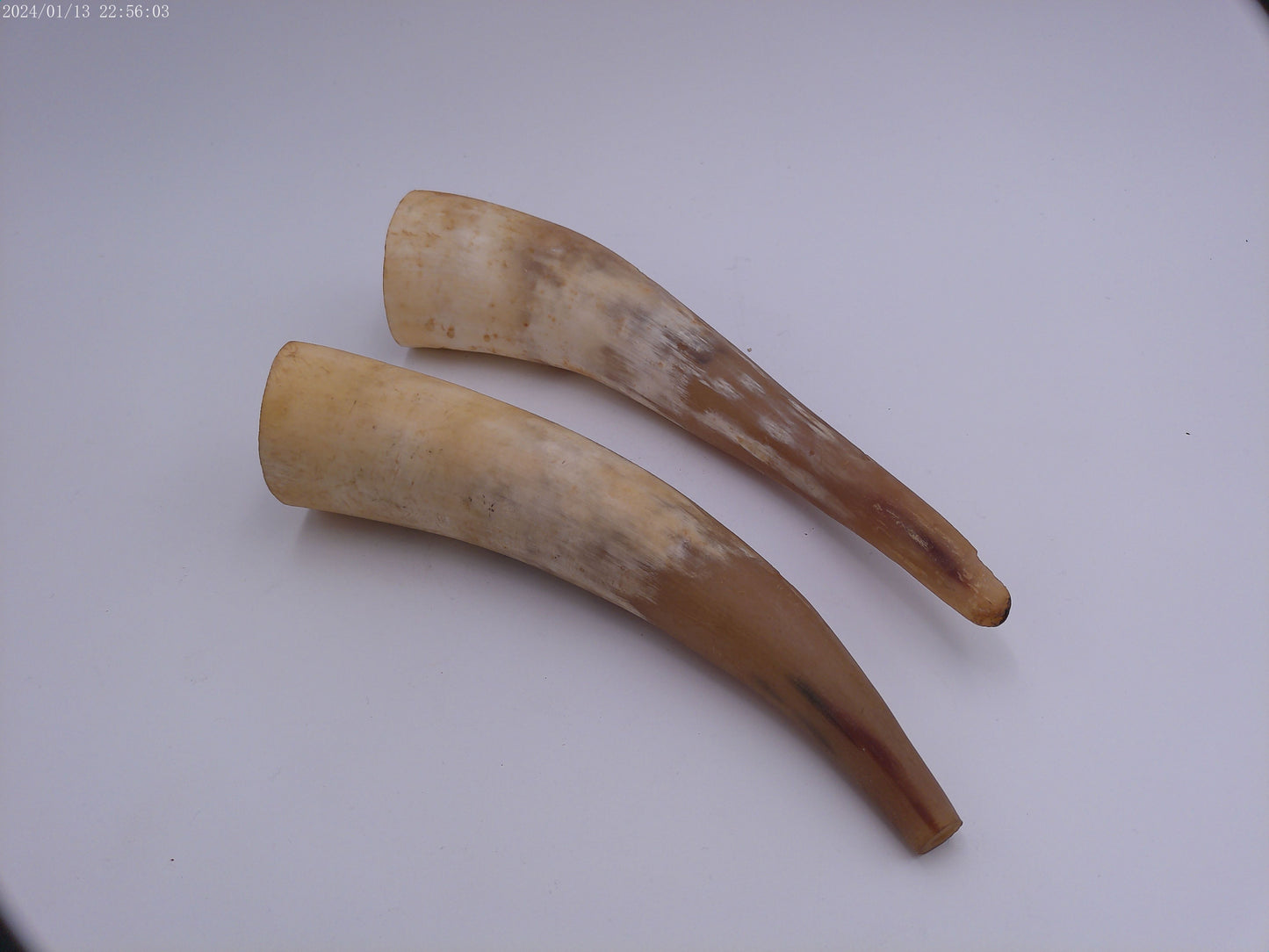 Pair Of Horns