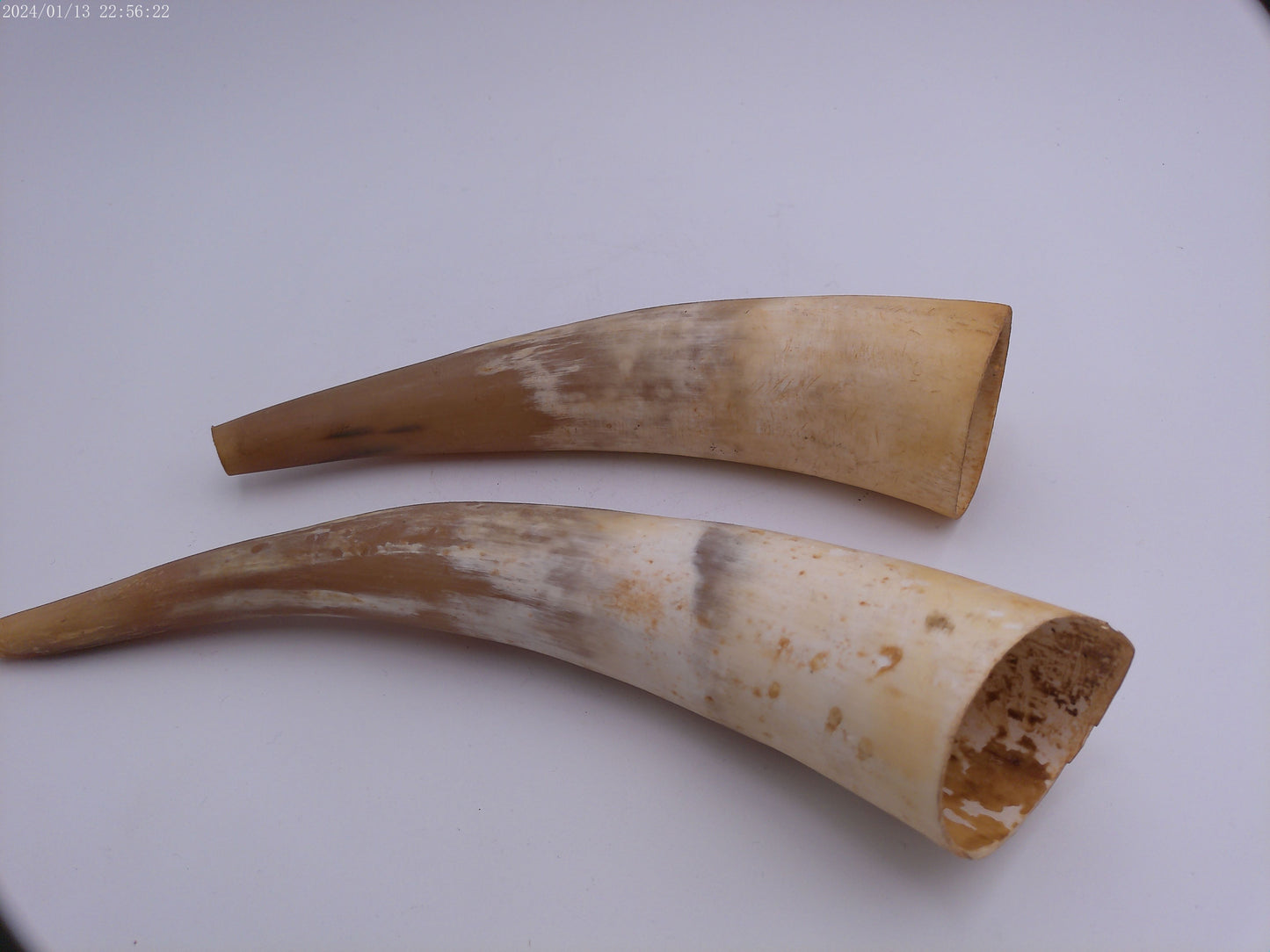 Pair Of Horns