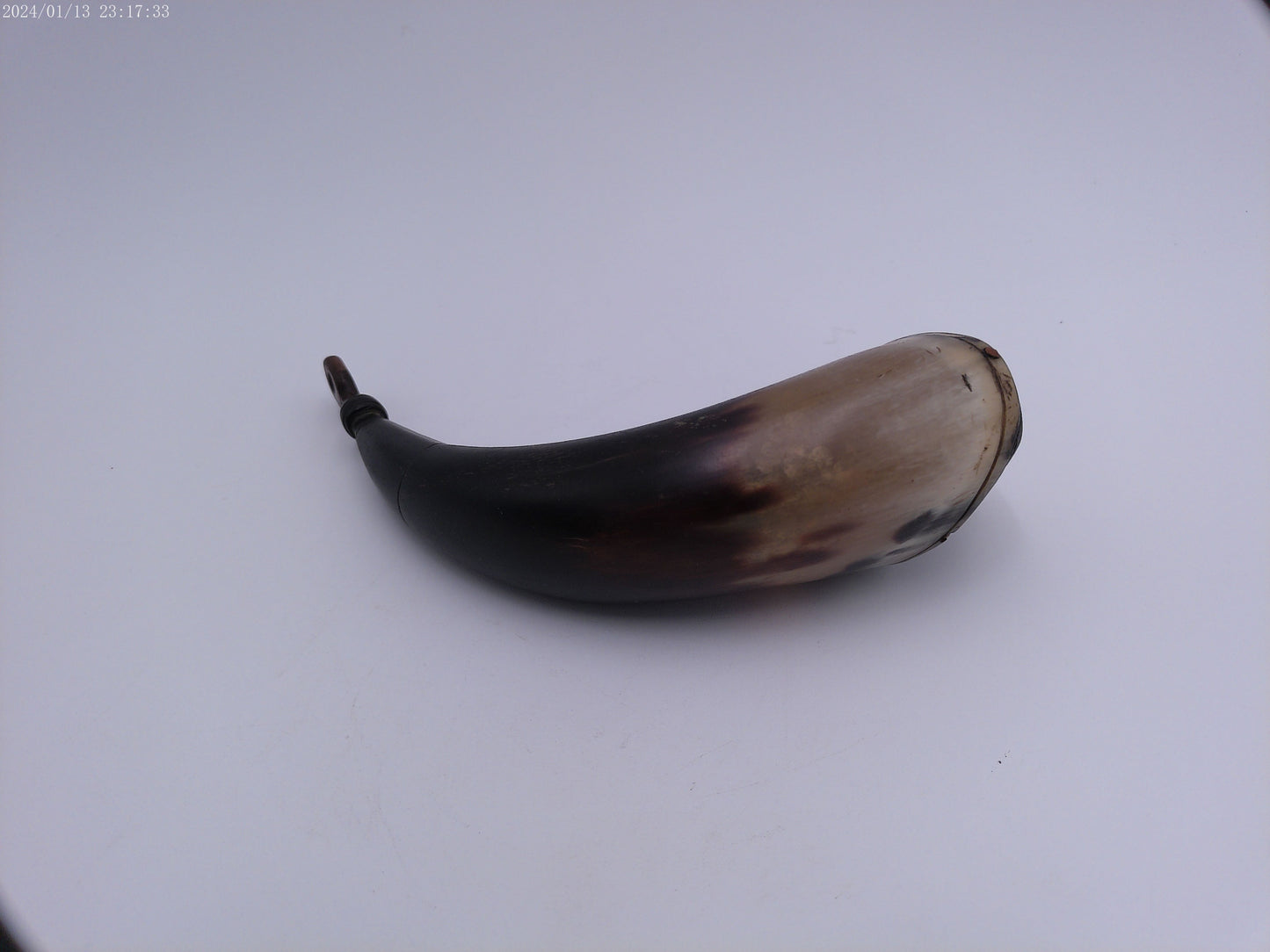 Antique Horn Decorative