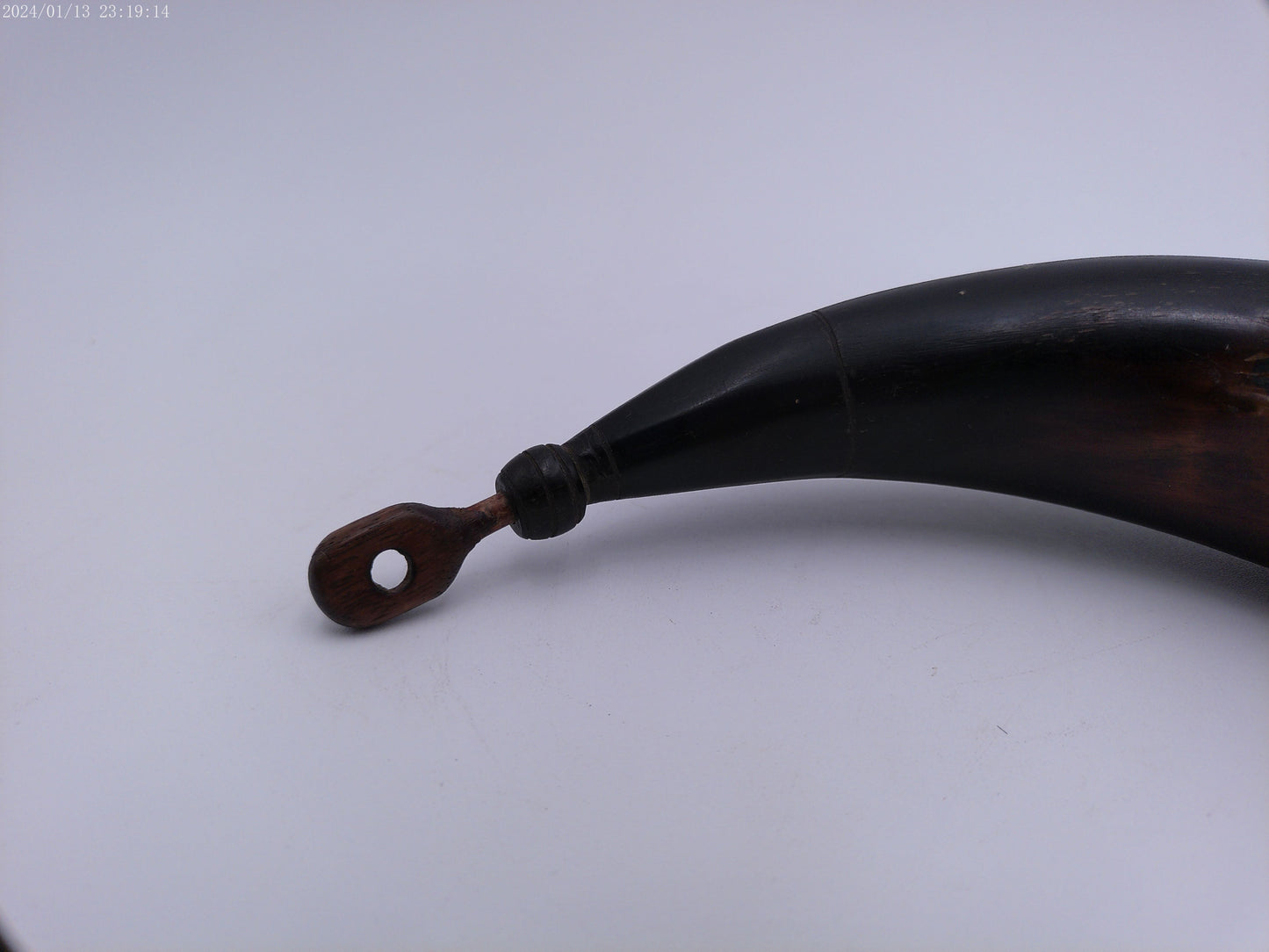 Antique Horn Decorative