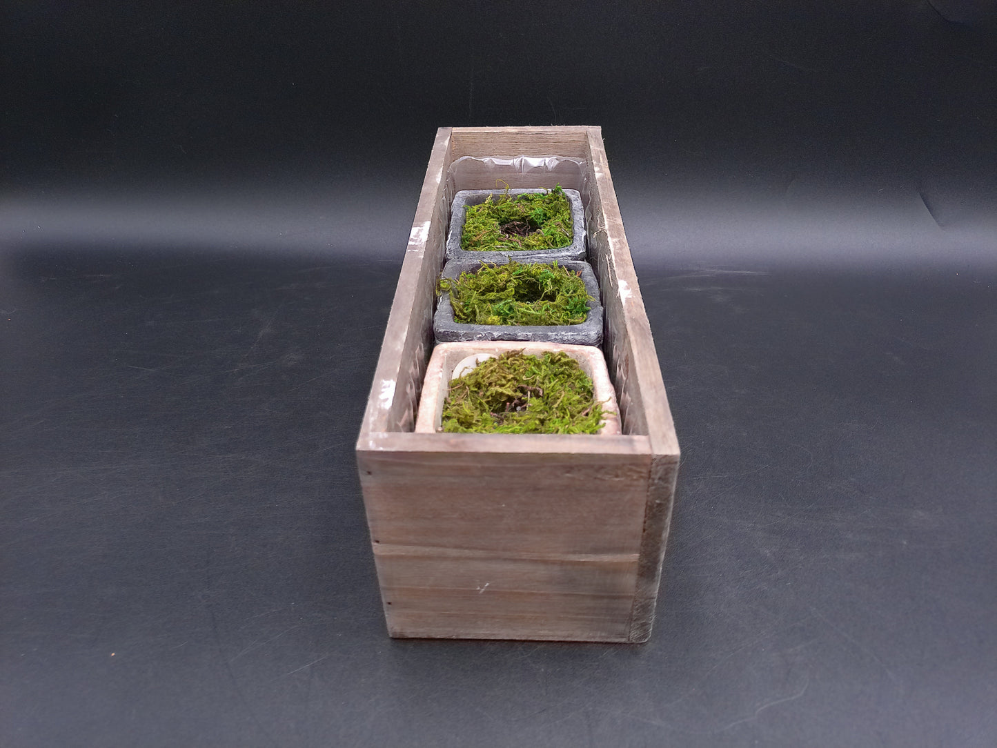 Rectangle Wooden Planter With Moss Decorative Lifelike Plants