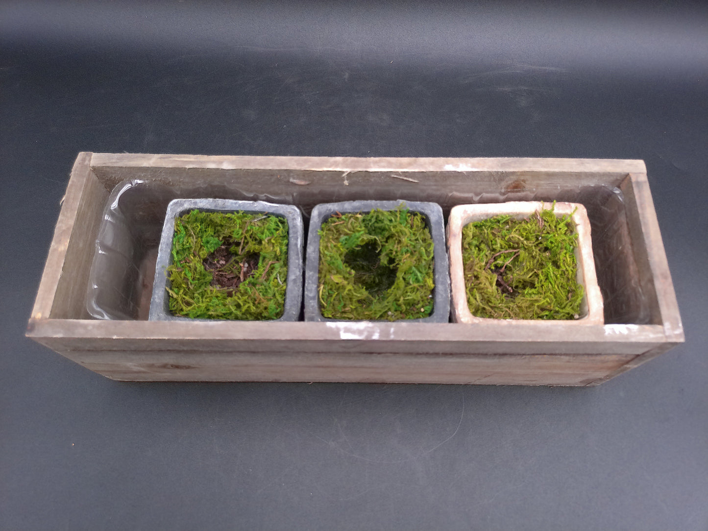 Rectangle Wooden Planter With Moss Decorative Lifelike Plants