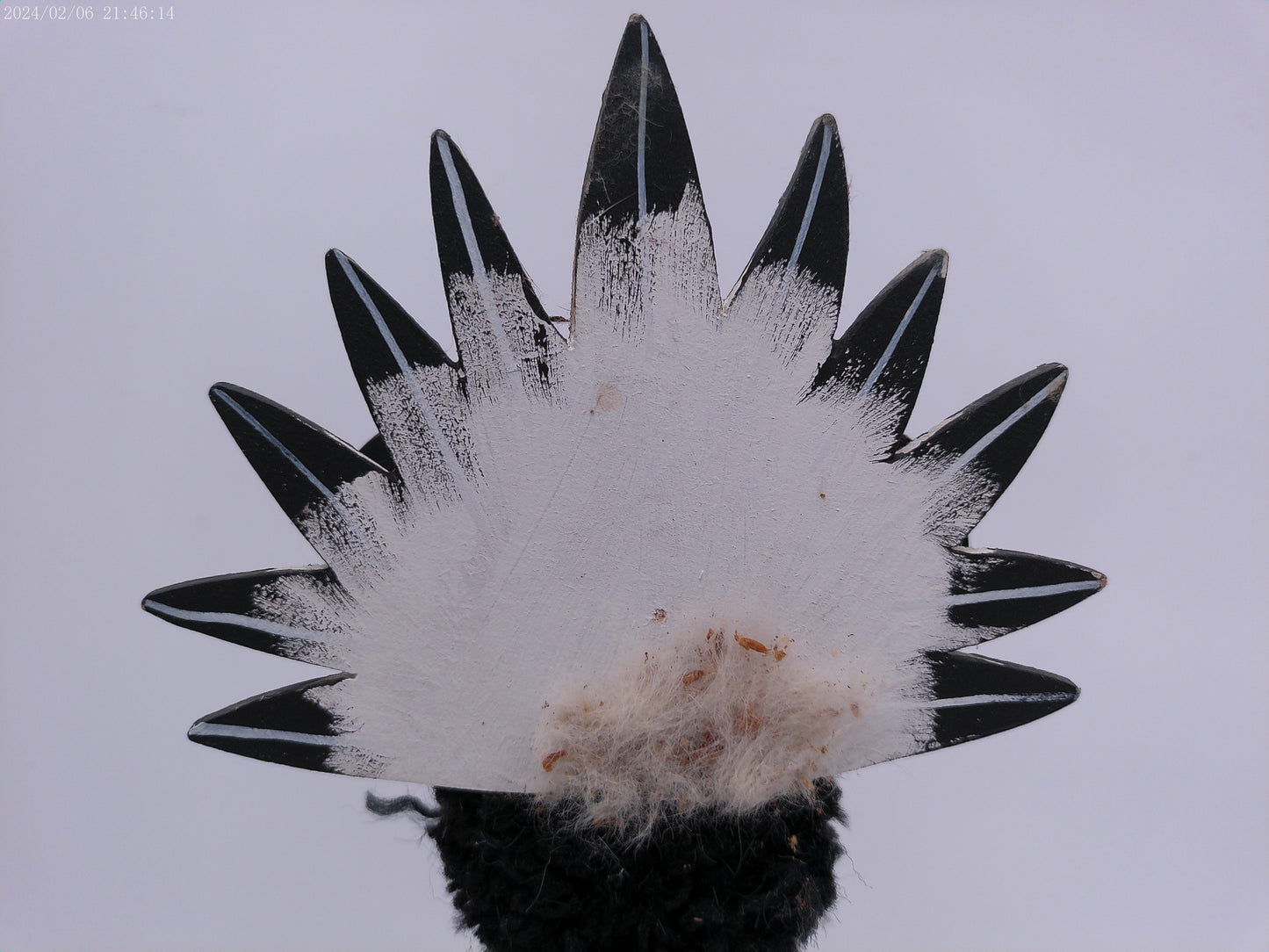 Navajo Handmade Painted Statue