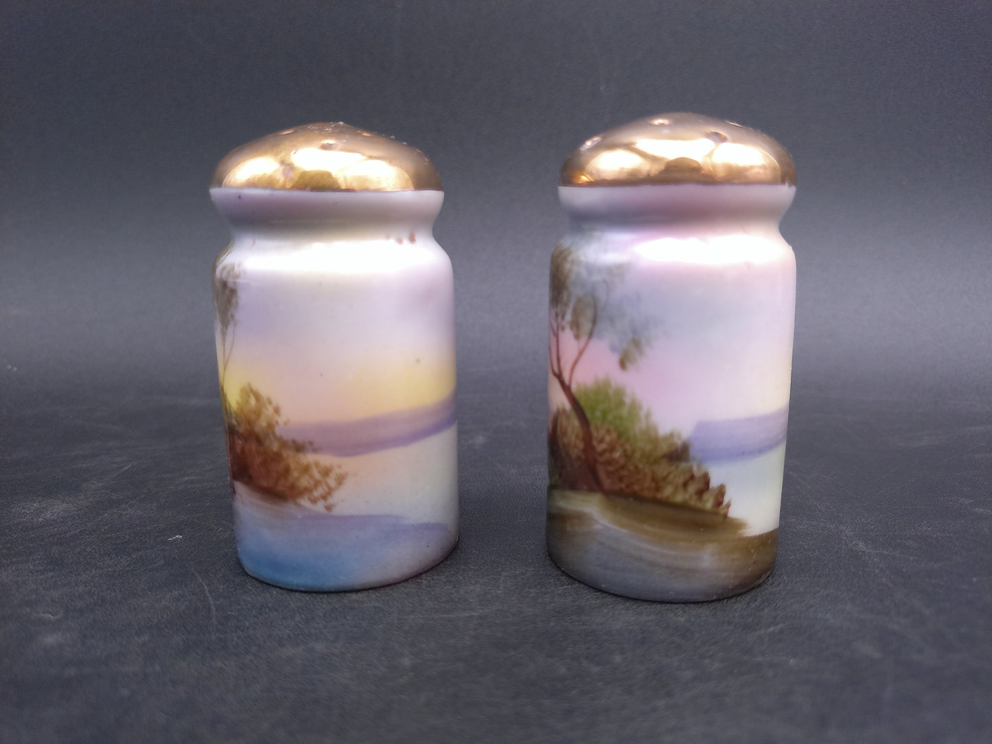 Bud Man Salt and Pepper Shakers River Tree Design Hand Painted