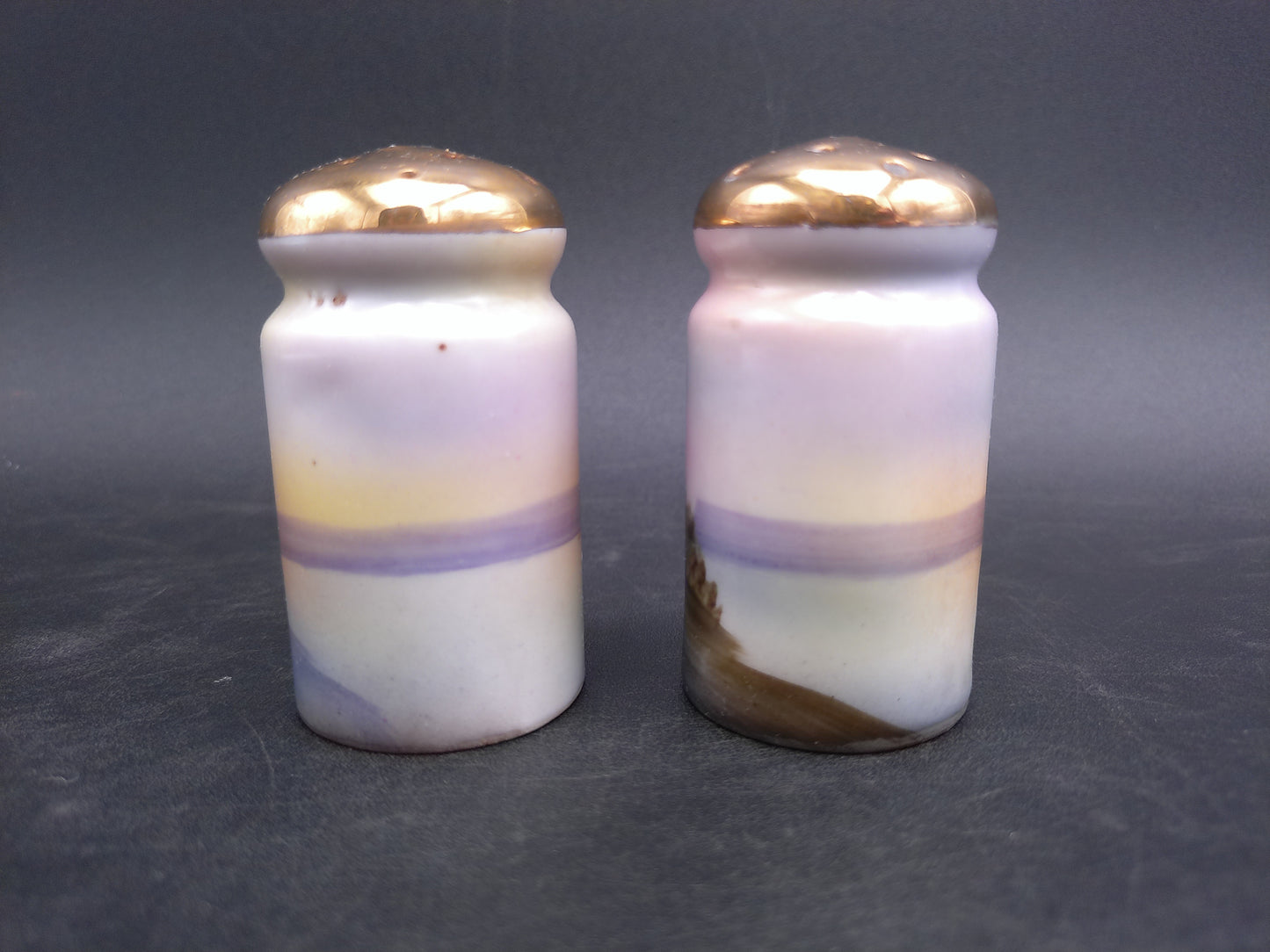 Bud Man Salt and Pepper Shakers River Tree Design Hand Painted