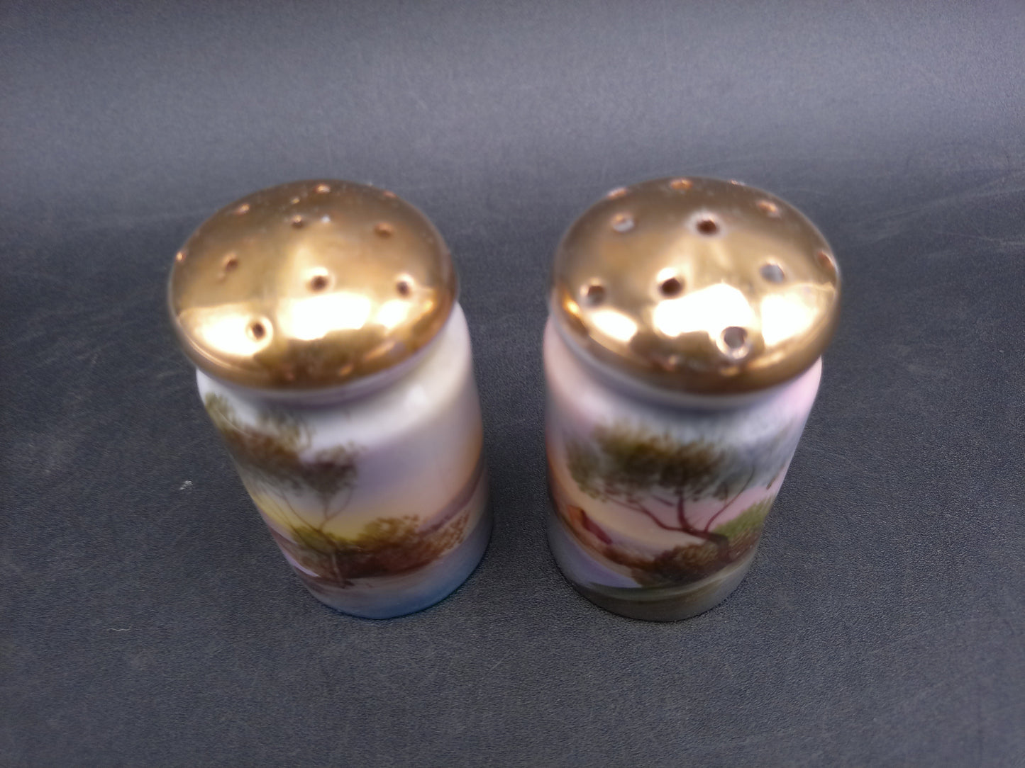 Bud Man Salt and Pepper Shakers River Tree Design Hand Painted