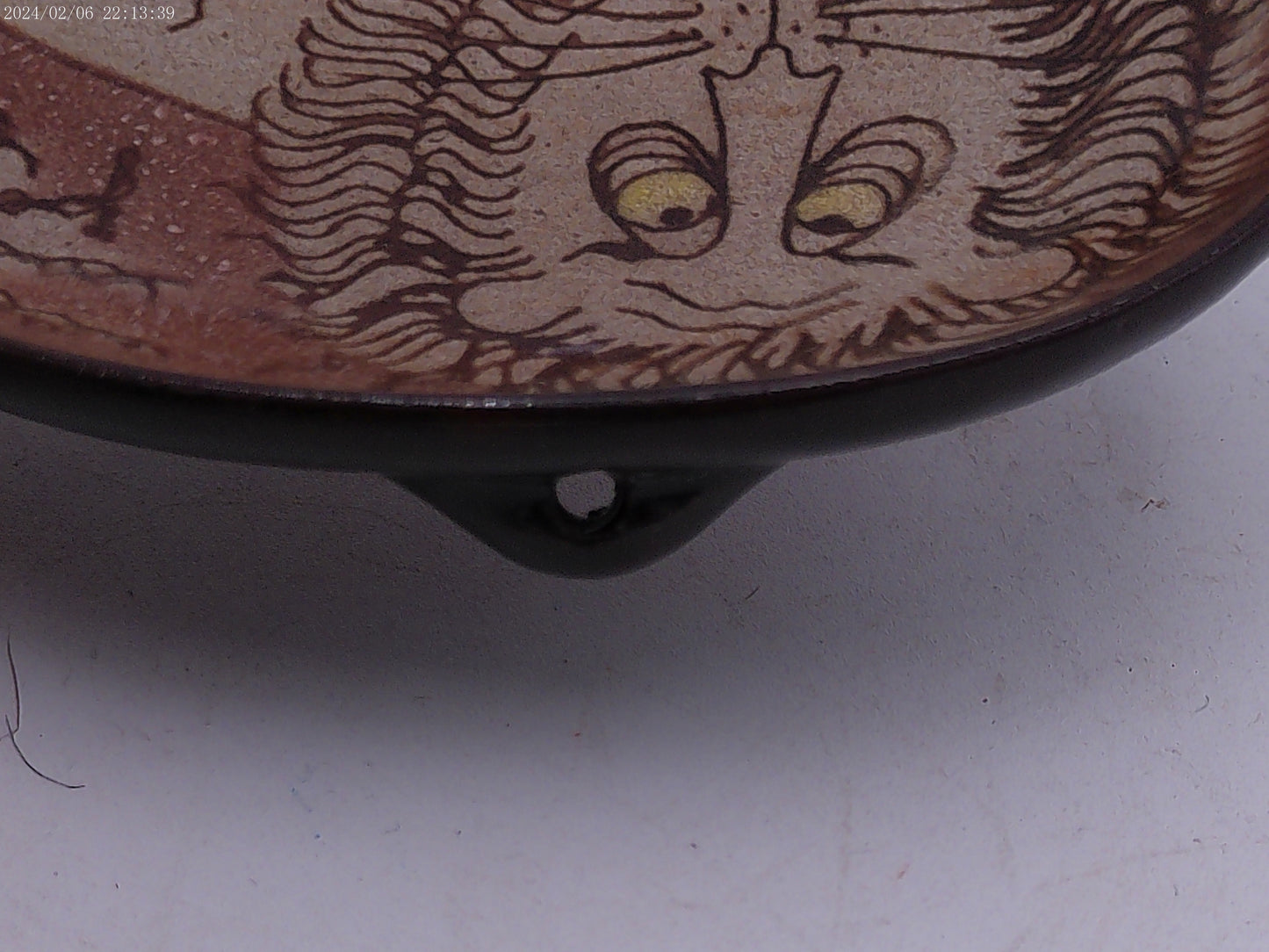 African Lion Design Pottery Ceramic Bowl Plate