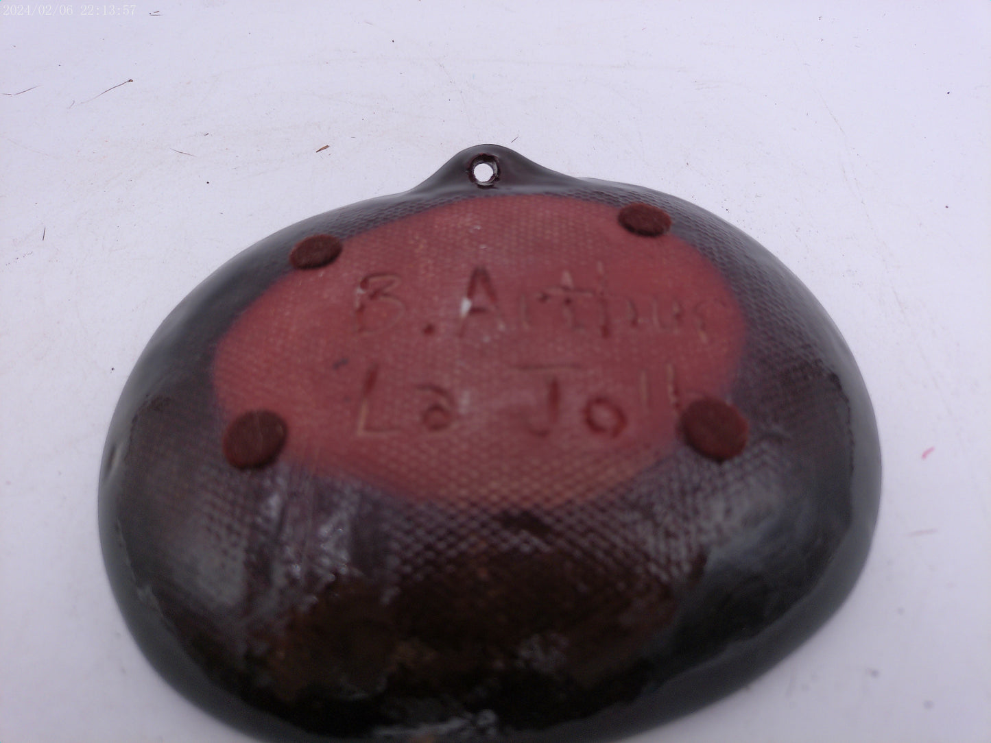 African Lion Design Pottery Ceramic Bowl Plate