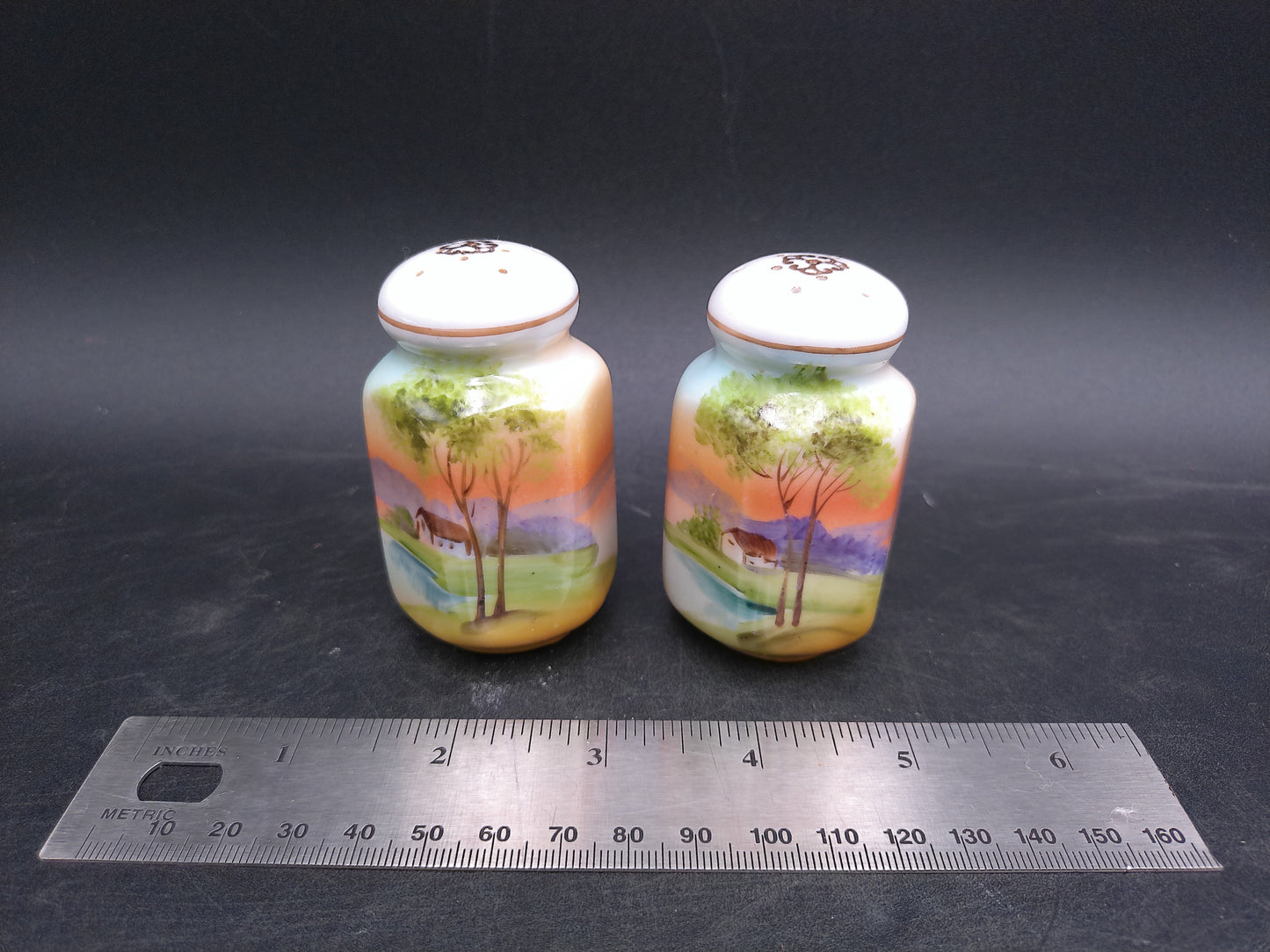 Japanese Salt and Pepper Shakers Vintage Made in Japan