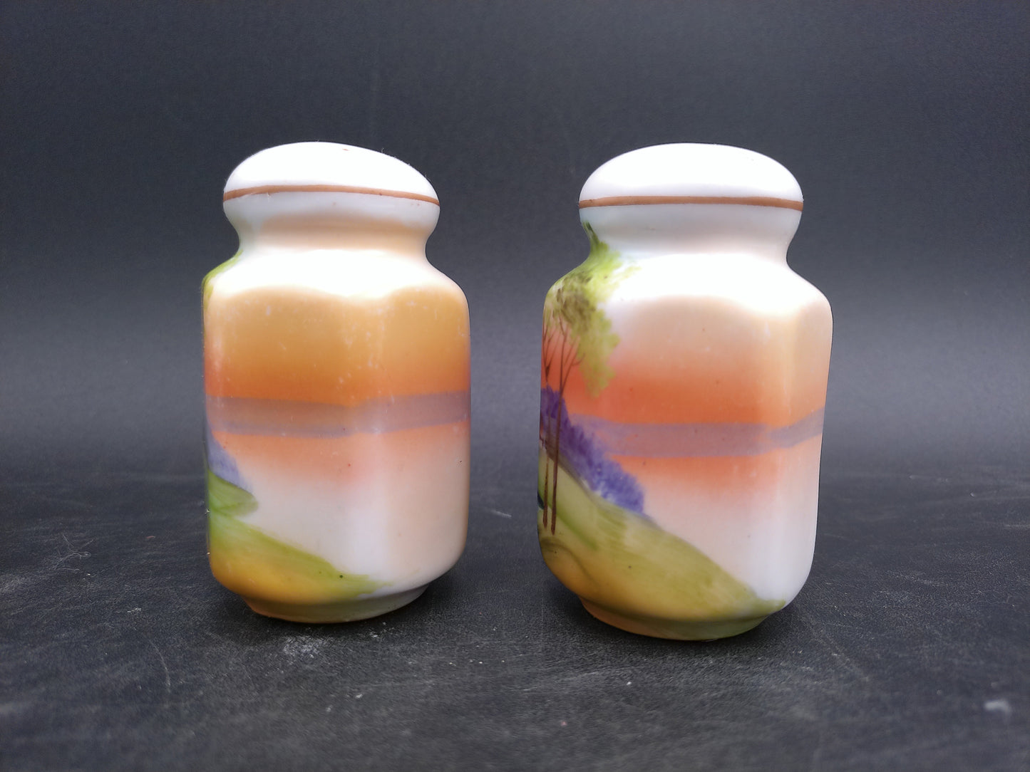 Japanese Salt and Pepper Shakers Vintage Made in Japan