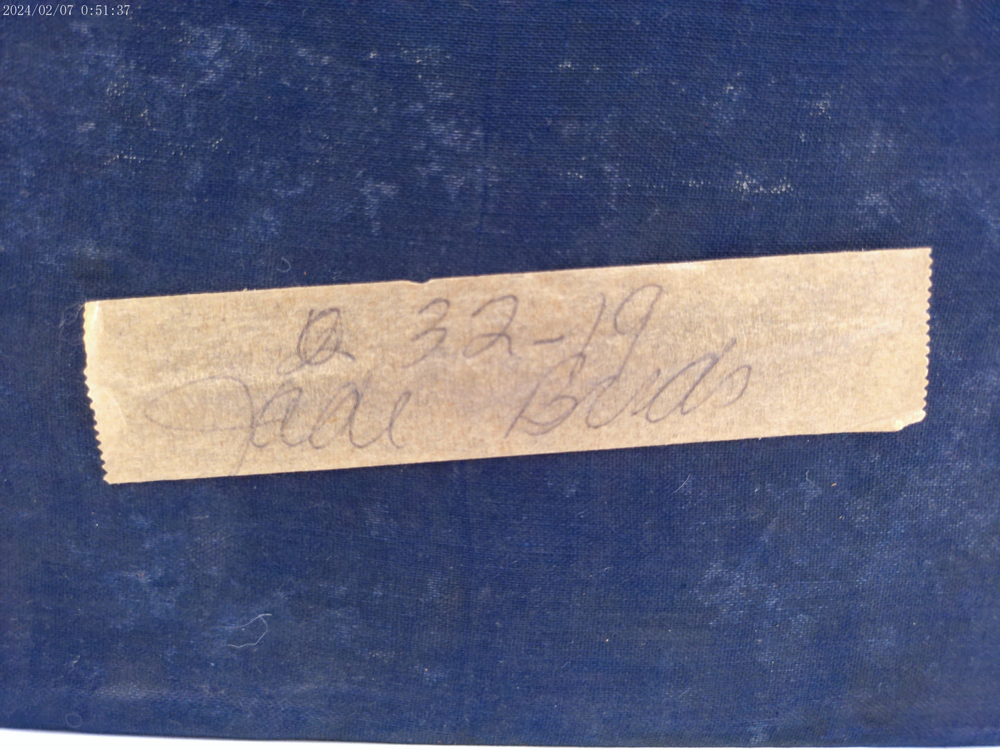 Hand Carved Jade Birds in Tree Sculpture