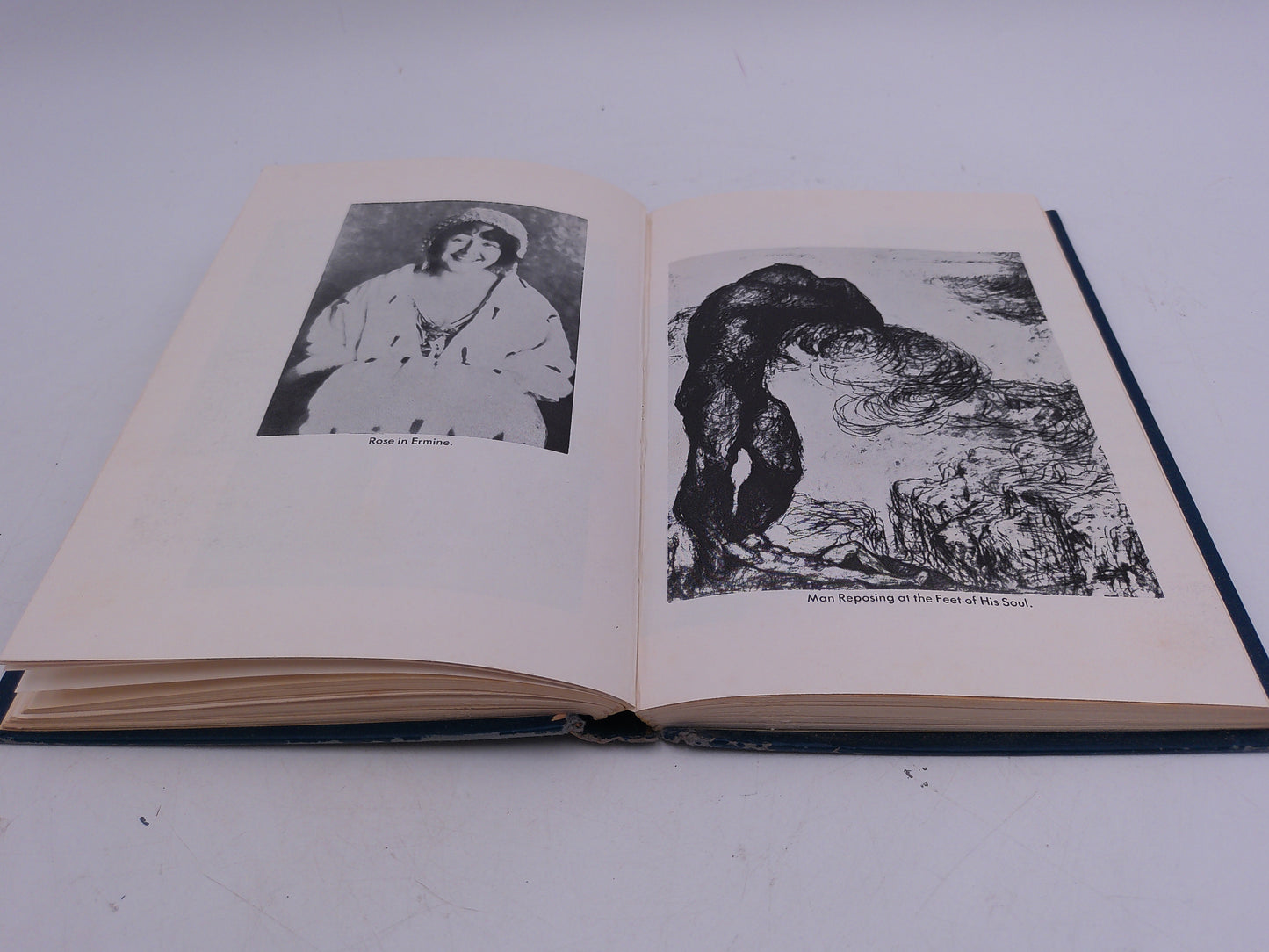Book Titans and Kewpies The Life and Art of Rose O'Neill signed by Ralph McCanse Rare #1