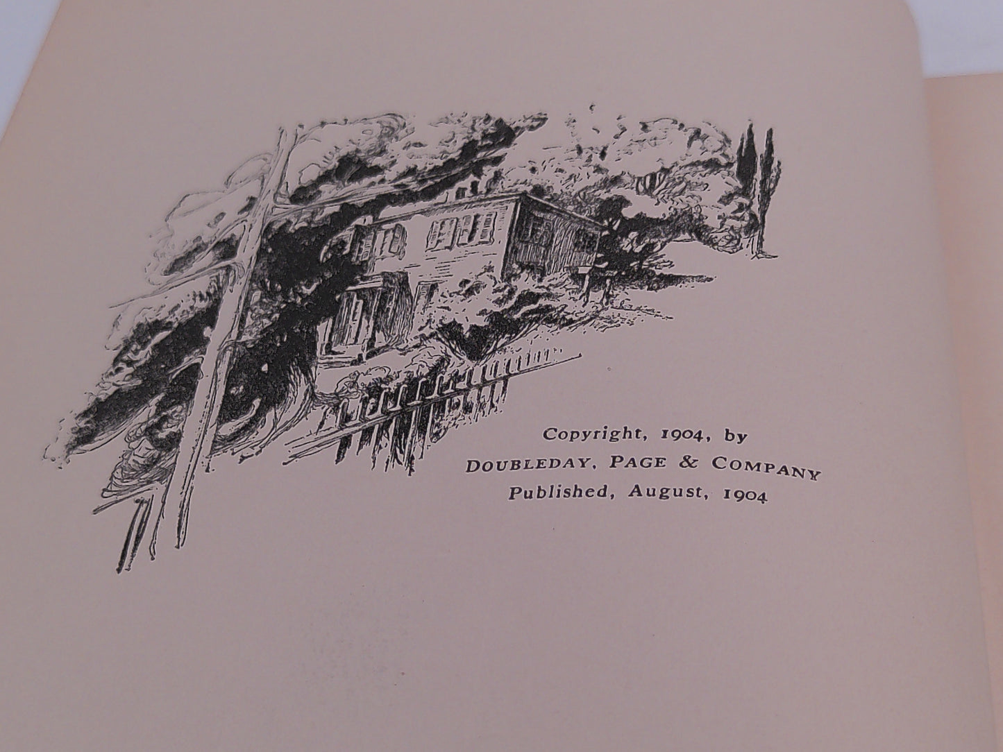 Book "The Seeker" by Harry Leon Wilson First Edition from 1904