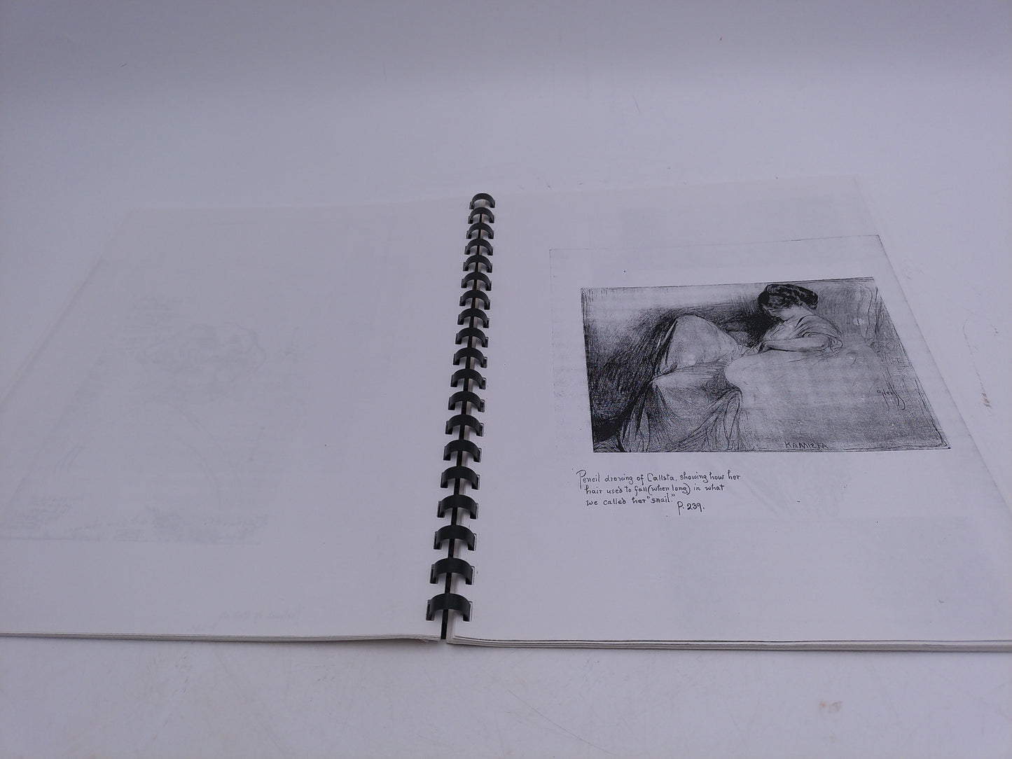 Rose O'Neill Creator of the Kewpie Her world in Pictures and Photographs Signed Rare