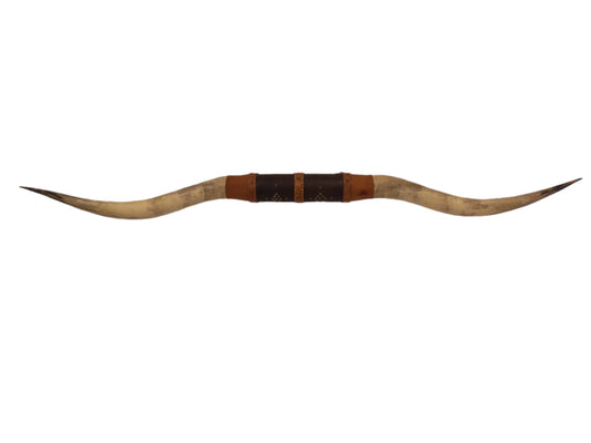 Taxidermy Bull Horns 81" long Wall hanging