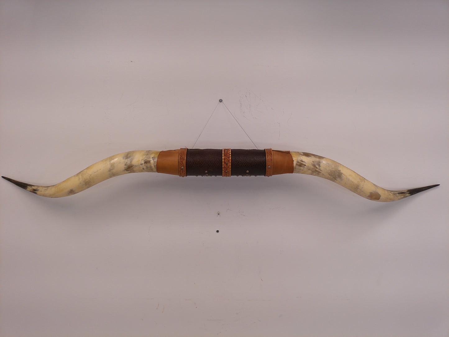 Taxidermy Bull Horns 81" long Wall hanging