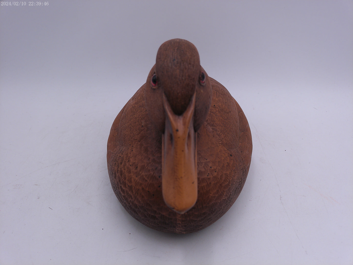 Wood Duck decoy Beautiful Detail craving
