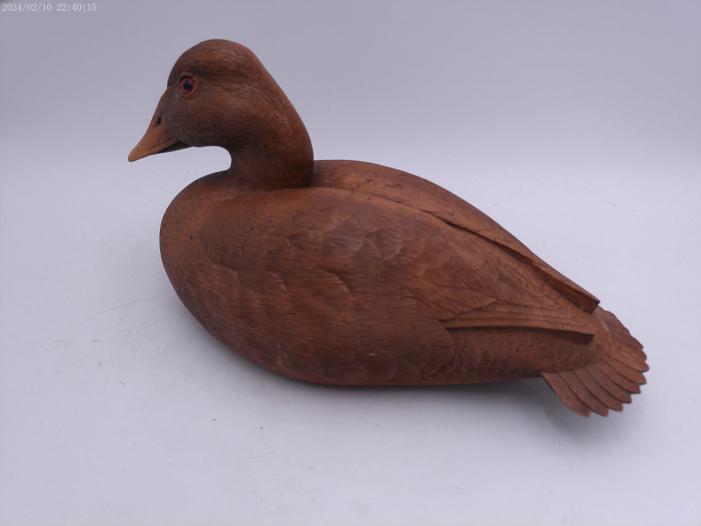 Wood Duck decoy Beautiful Detail craving
