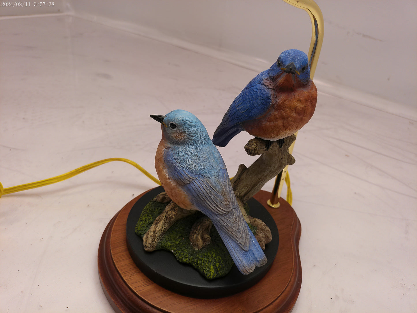Lamp with two beautiful Blue Birds on Tree limb