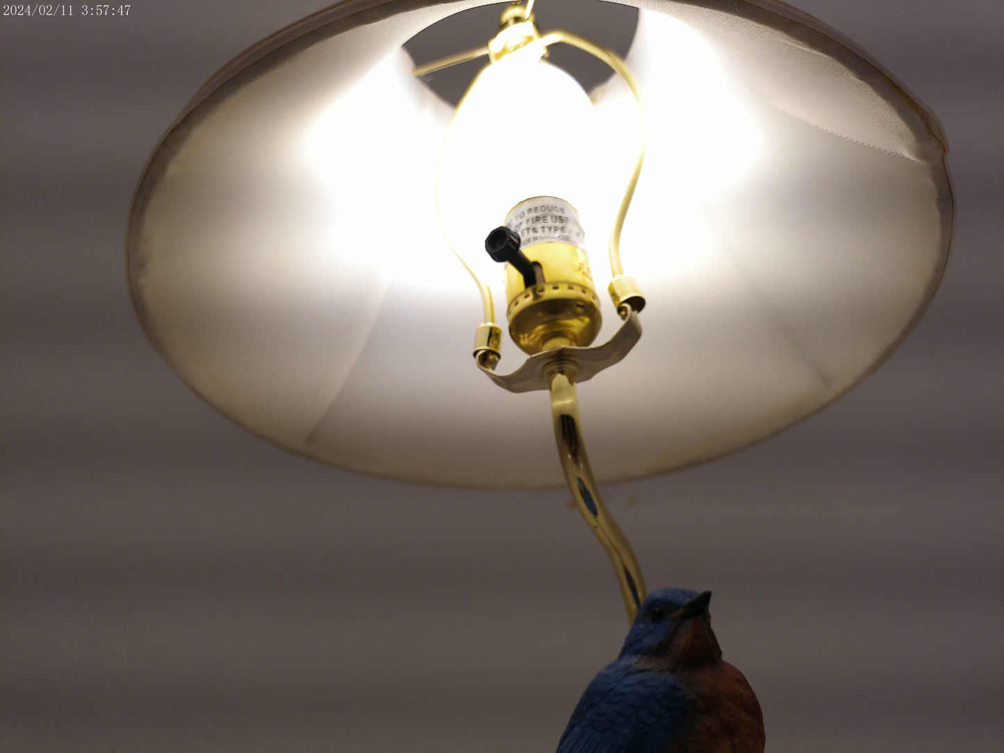 Lamp with two beautiful Blue Birds on Tree limb