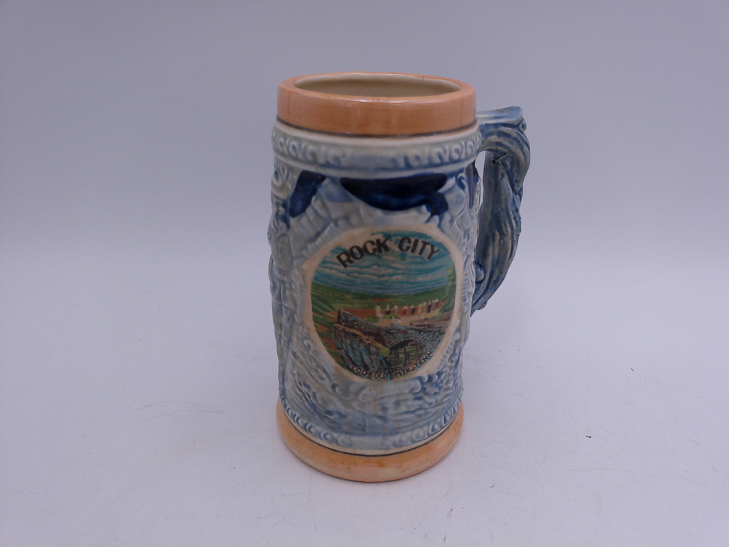 Beer Stein Rock City, TN Lookout Mountain Souvenir Mug