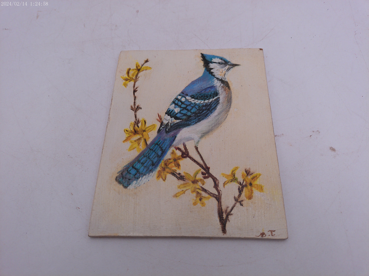 4 Colorful  Painted Tiles of Birds