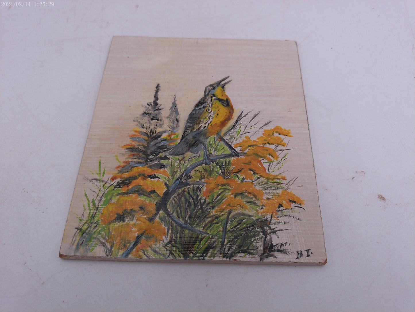 4 Colorful  Painted Tiles of Birds