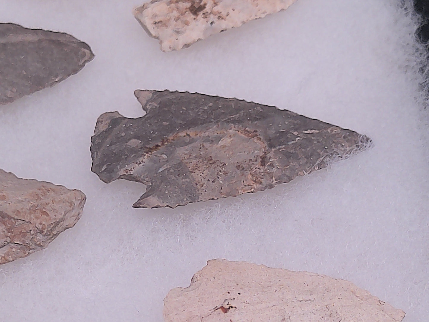 Arrowheads In Nice Display case Arrow Heads Large Unique Collection