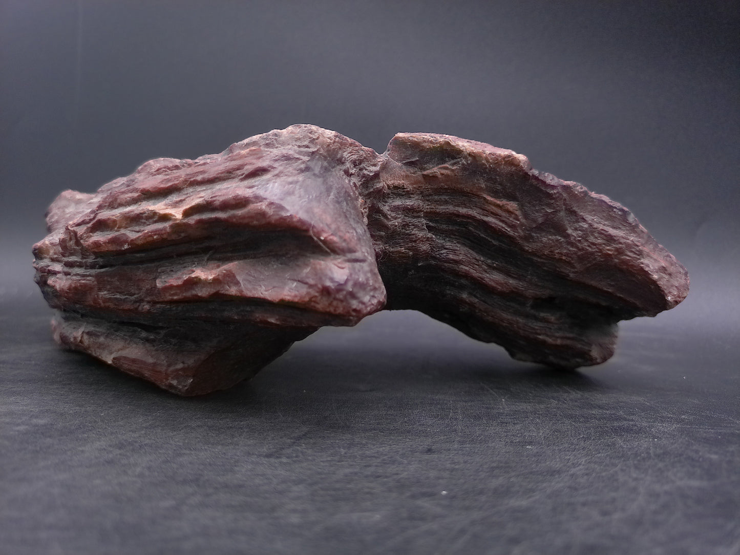 Petrified Wood beautiful Brown Colors