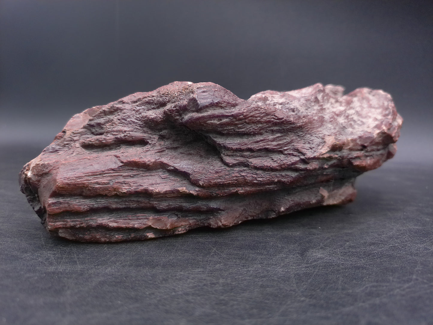 Petrified Wood beautiful Brown Colors