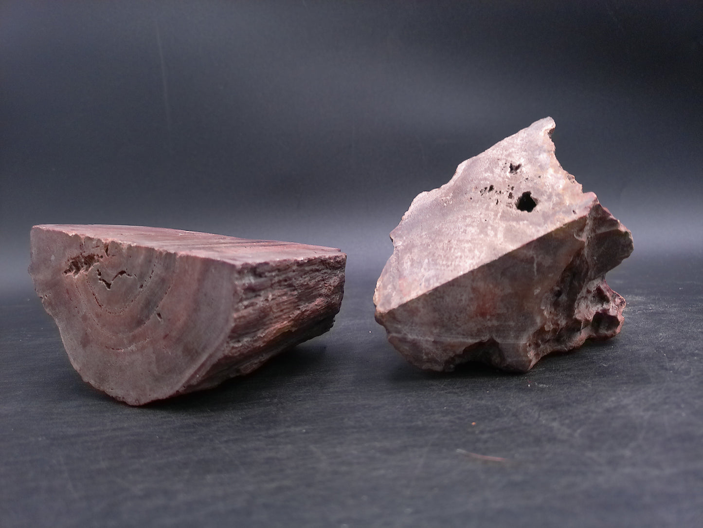 Petrified Wood tone Unique Color and Design Could ve used as book ends