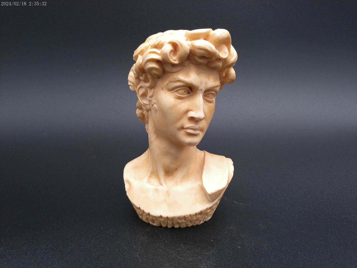 David by Michelangelo Head Bust Resin