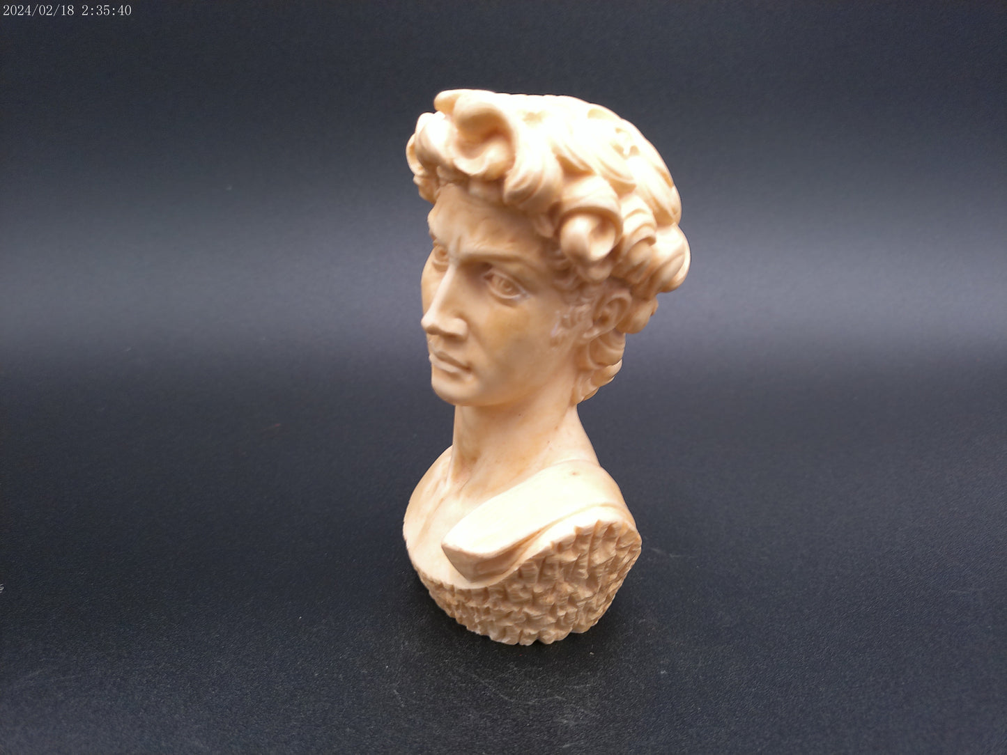 David by Michelangelo Head Bust Resin