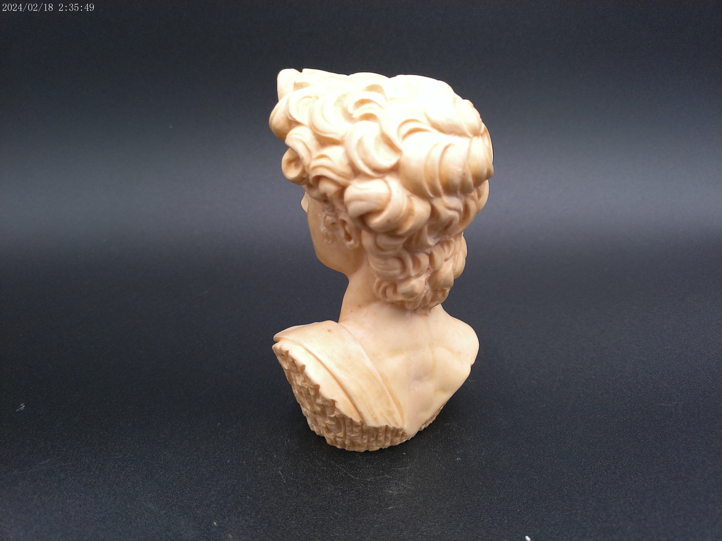 David by Michelangelo Head Bust Resin
