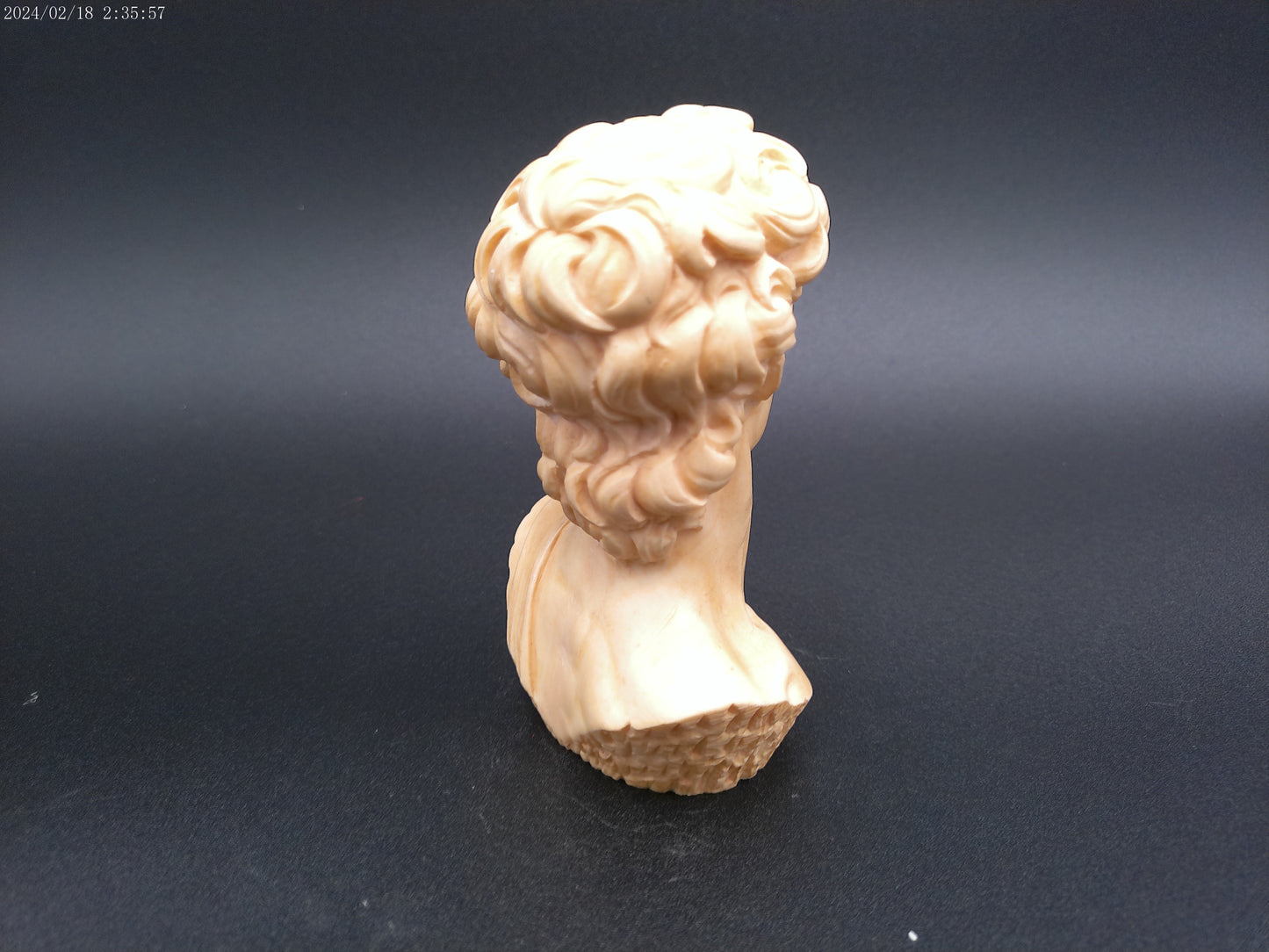 David by Michelangelo Head Bust Resin