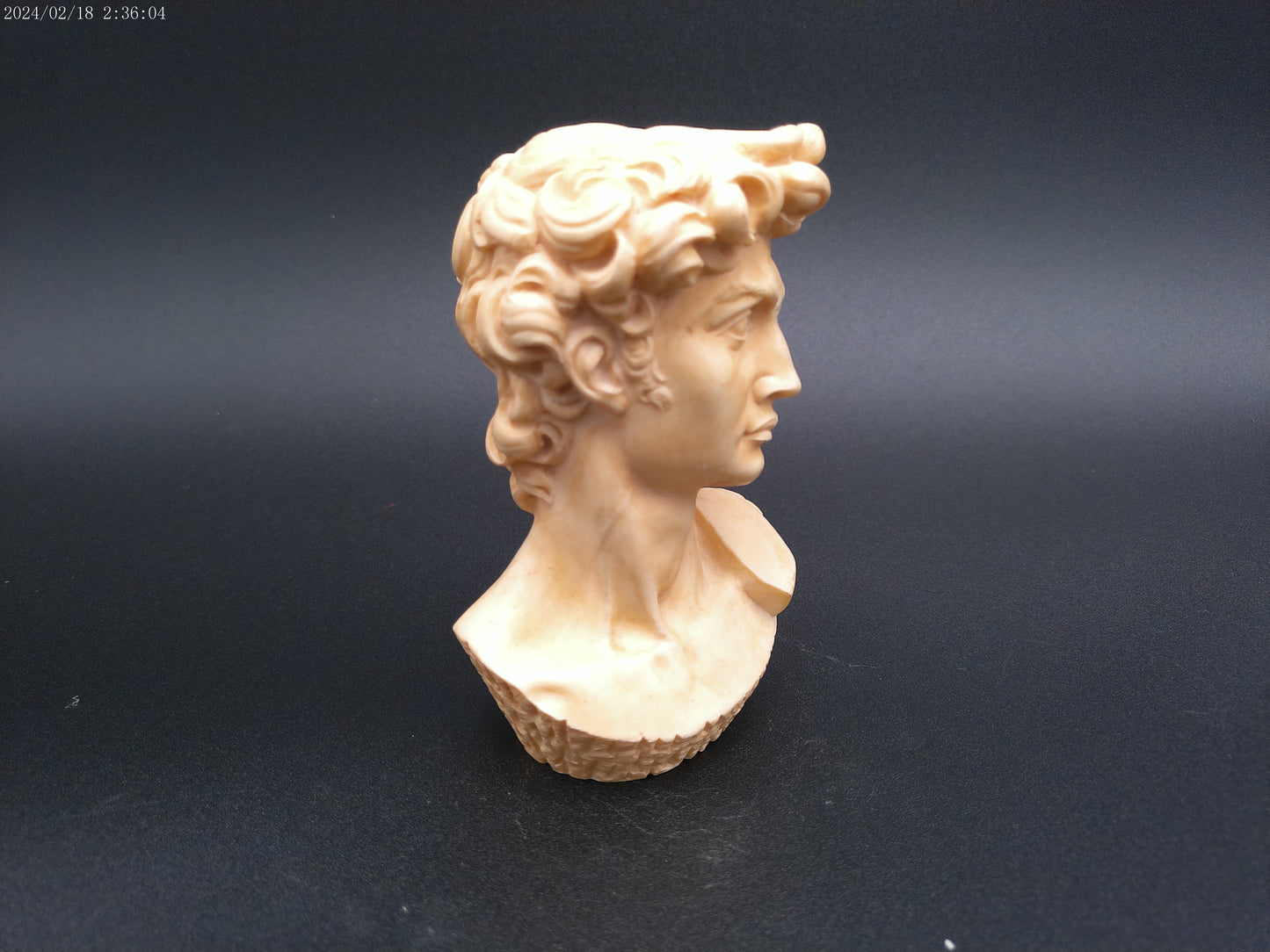 David by Michelangelo Head Bust Resin