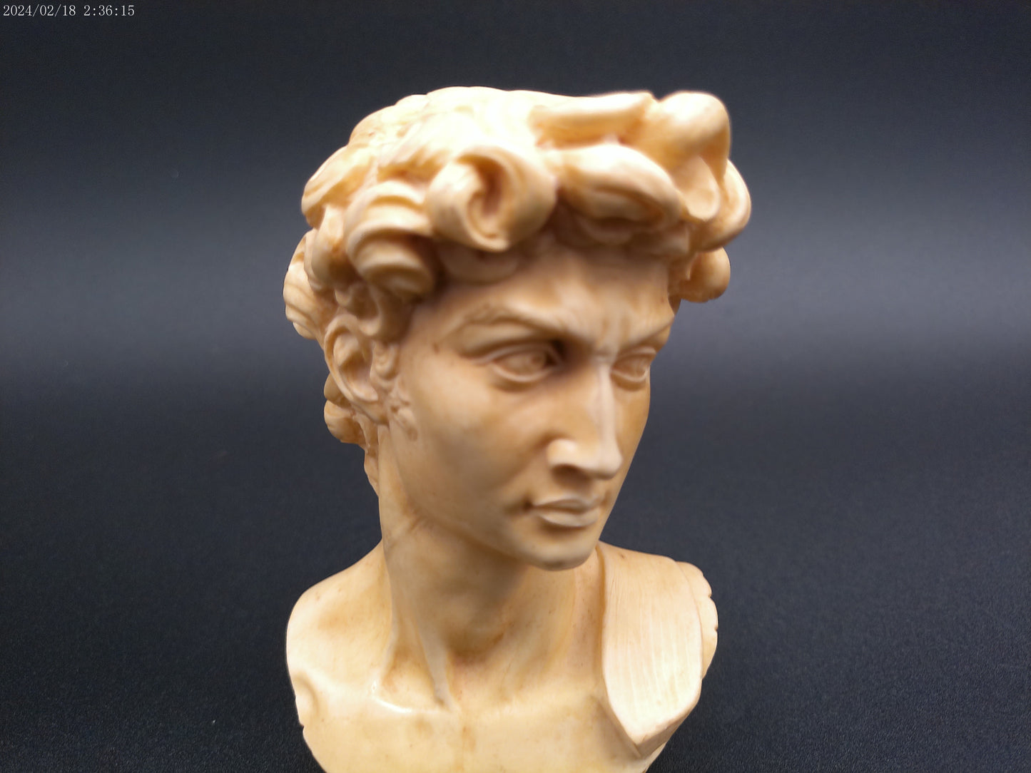 David by Michelangelo Head Bust Resin