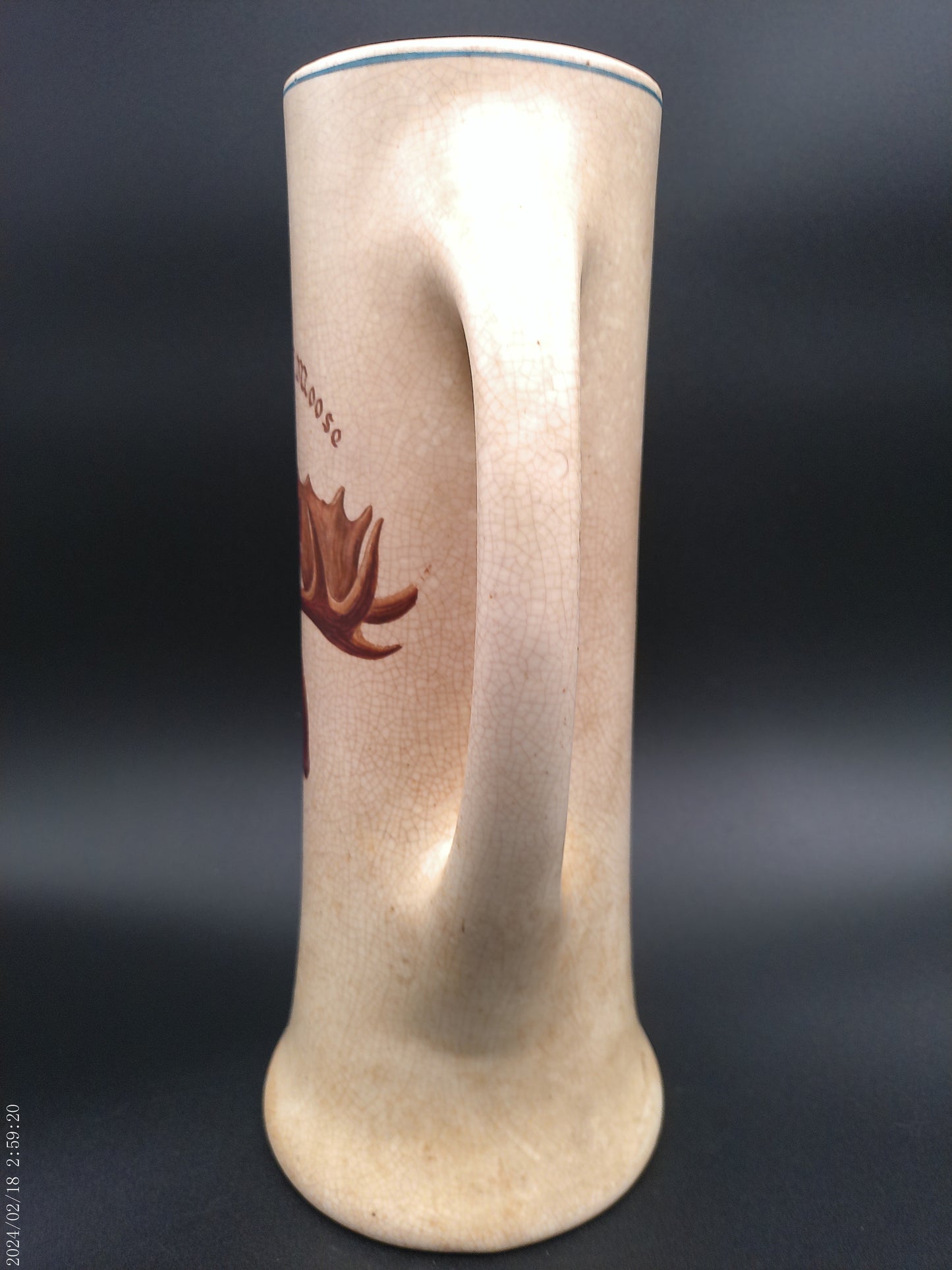 Local order of the Moose pitcher  vintage