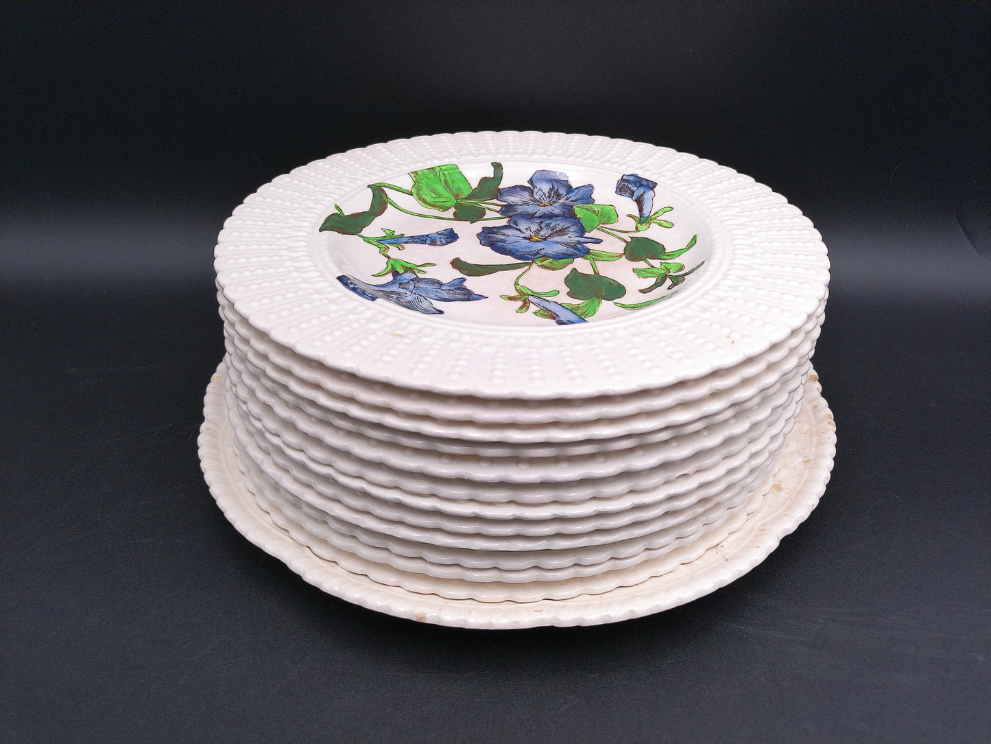 Stack of Plates Cauldon Flowers Series 2481 Flower Designs (9.5 In.) England