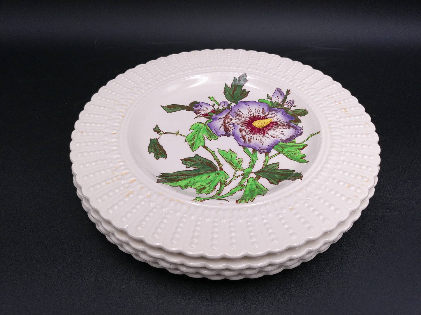Stack of Plates Cauldon Flowers Series 2481 Flower Designs (9.5 In.) England