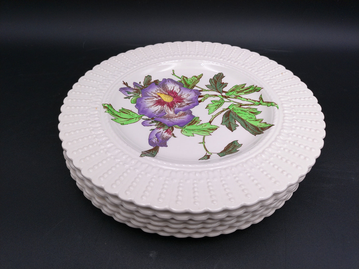 Stack of Plates Cauldon Flowers Series 2481 Flower Designs (9.5 In.) England